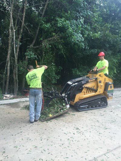 Pruning a tree — Tree Removal in Jacksonville, FL