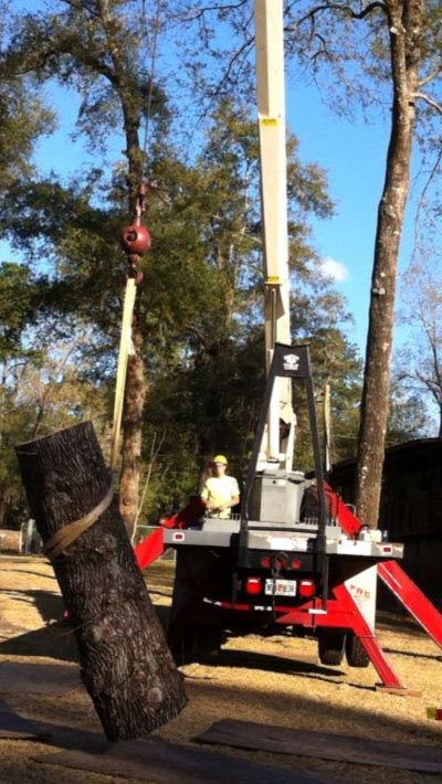 Crane machine use in cut tree — Tree Removal in Jacksonville, FL