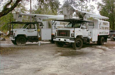 Two old white truck service — Tree Removal in Jacksonville, FL