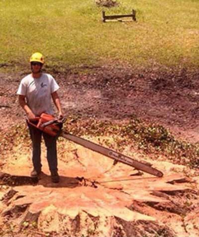 Stump — Tree Removal in Jacksonville, FL