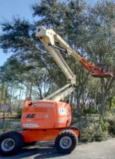 Red and white crane — Tree Removal in Jacksonville, FL
