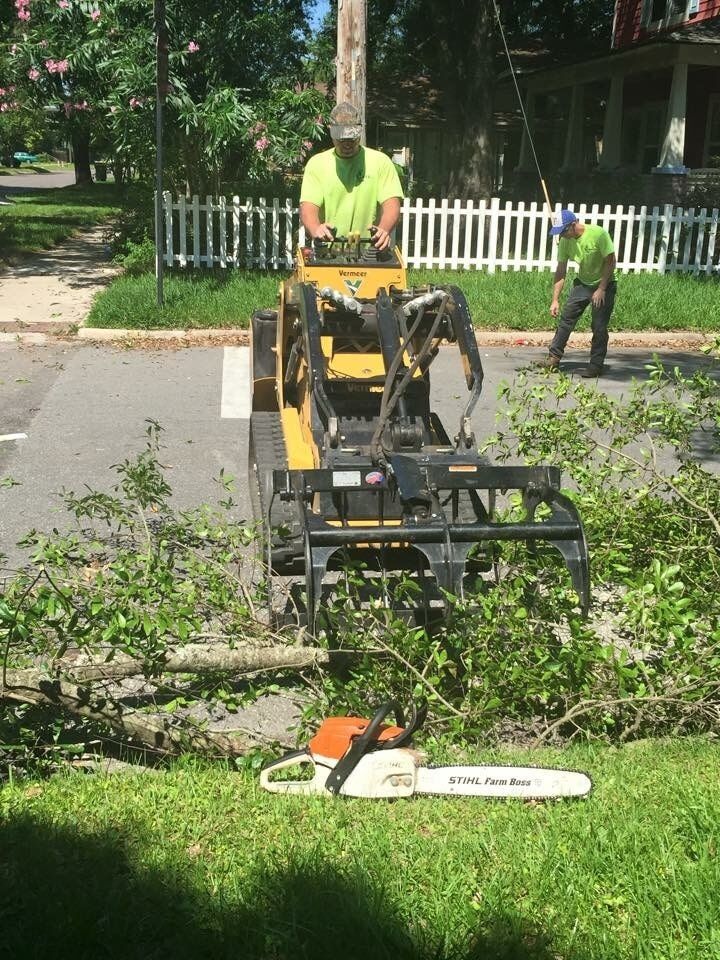 Tree Removal in Jacksonville, FL