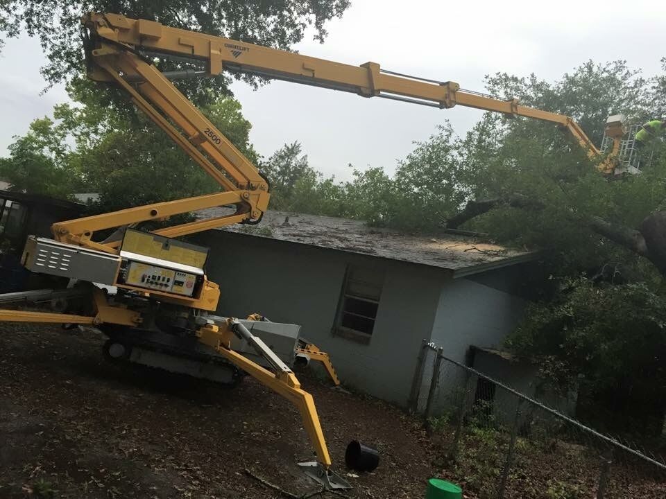 Tree Removal - Tree Removal in Jacksonville, FL