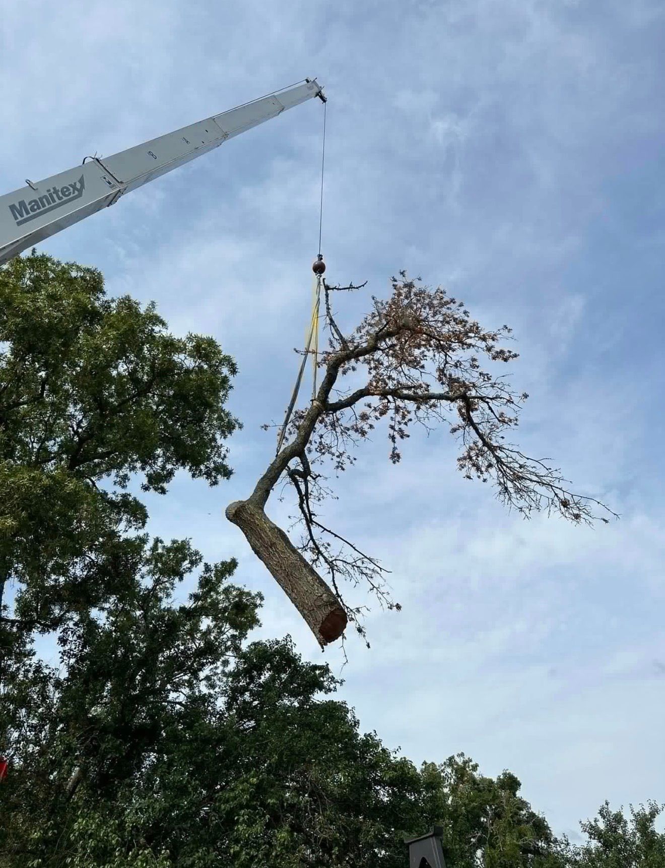Crane lifting a tree trunk and branches against a cloudy sky.