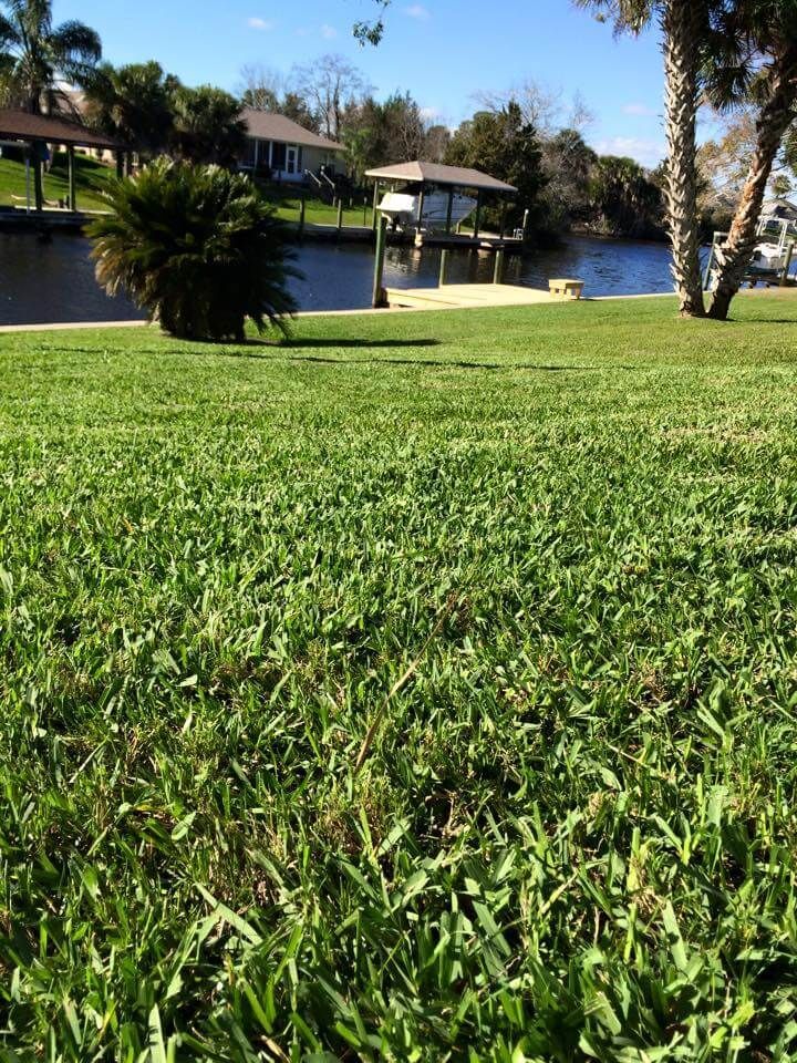 A lush green lawn with a dock in the background