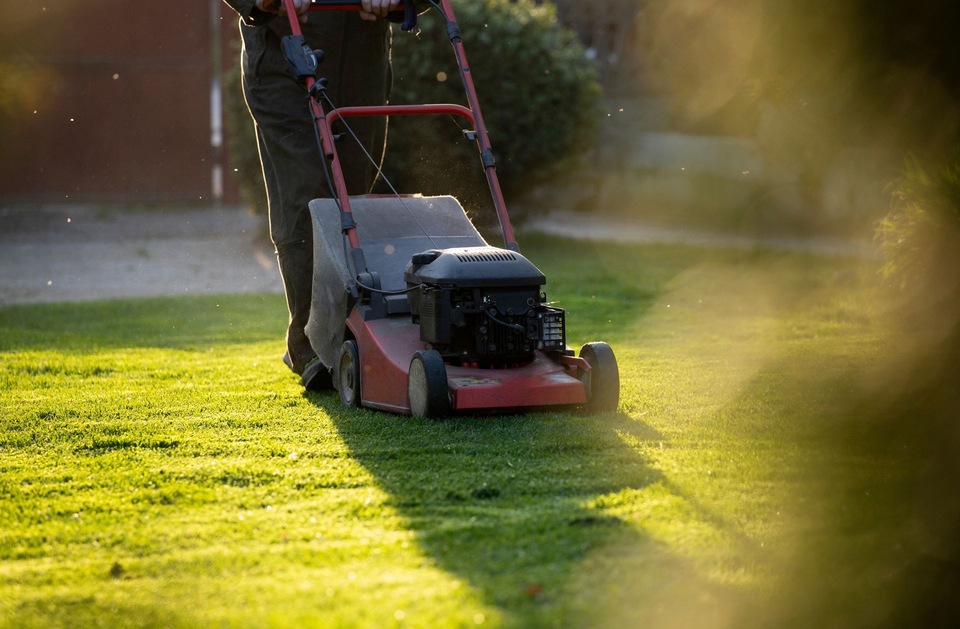 Lawn Care Services