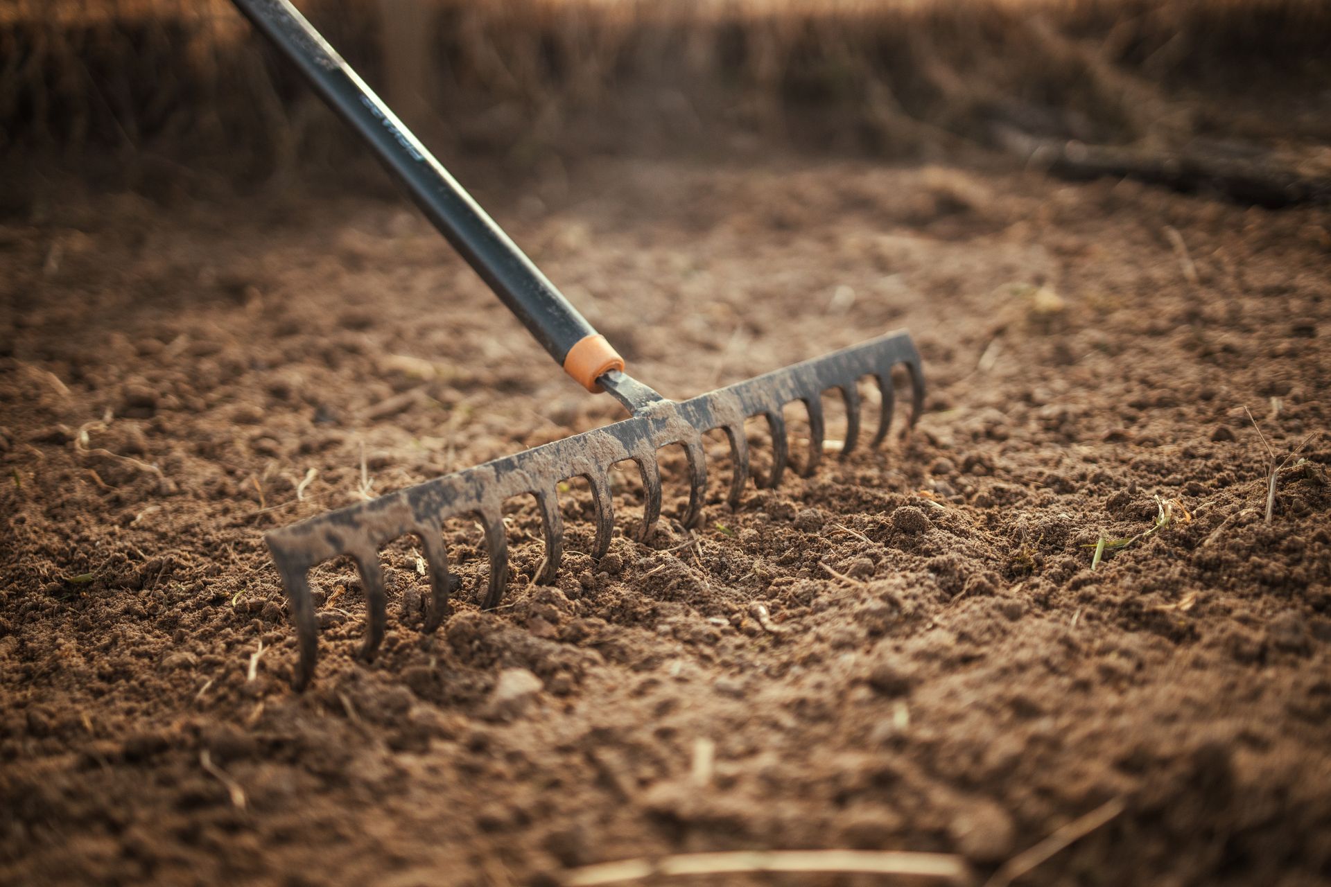 Animal Control and Removal