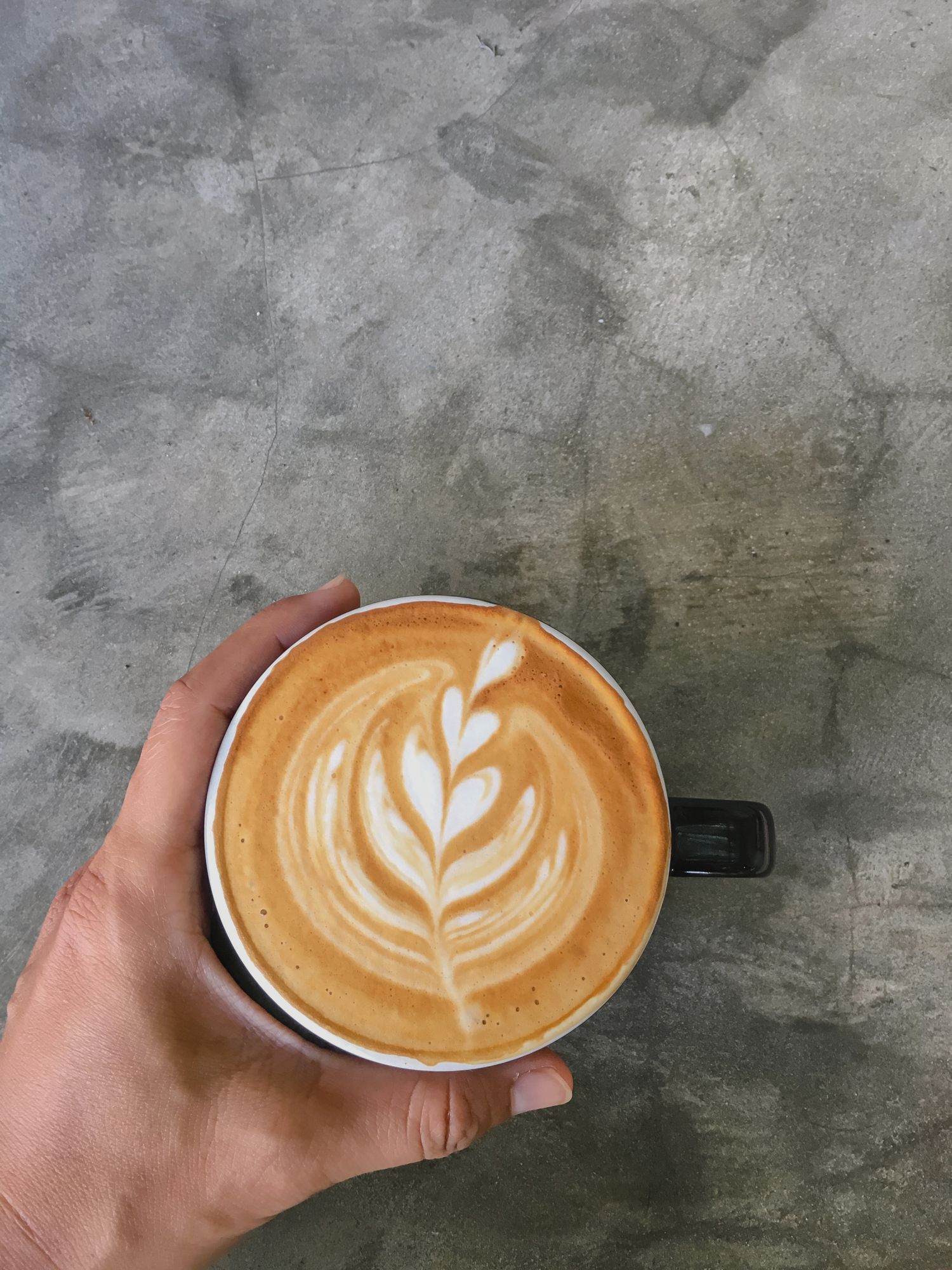 A brick walkway leading to the ocean with a fence in the foreground.