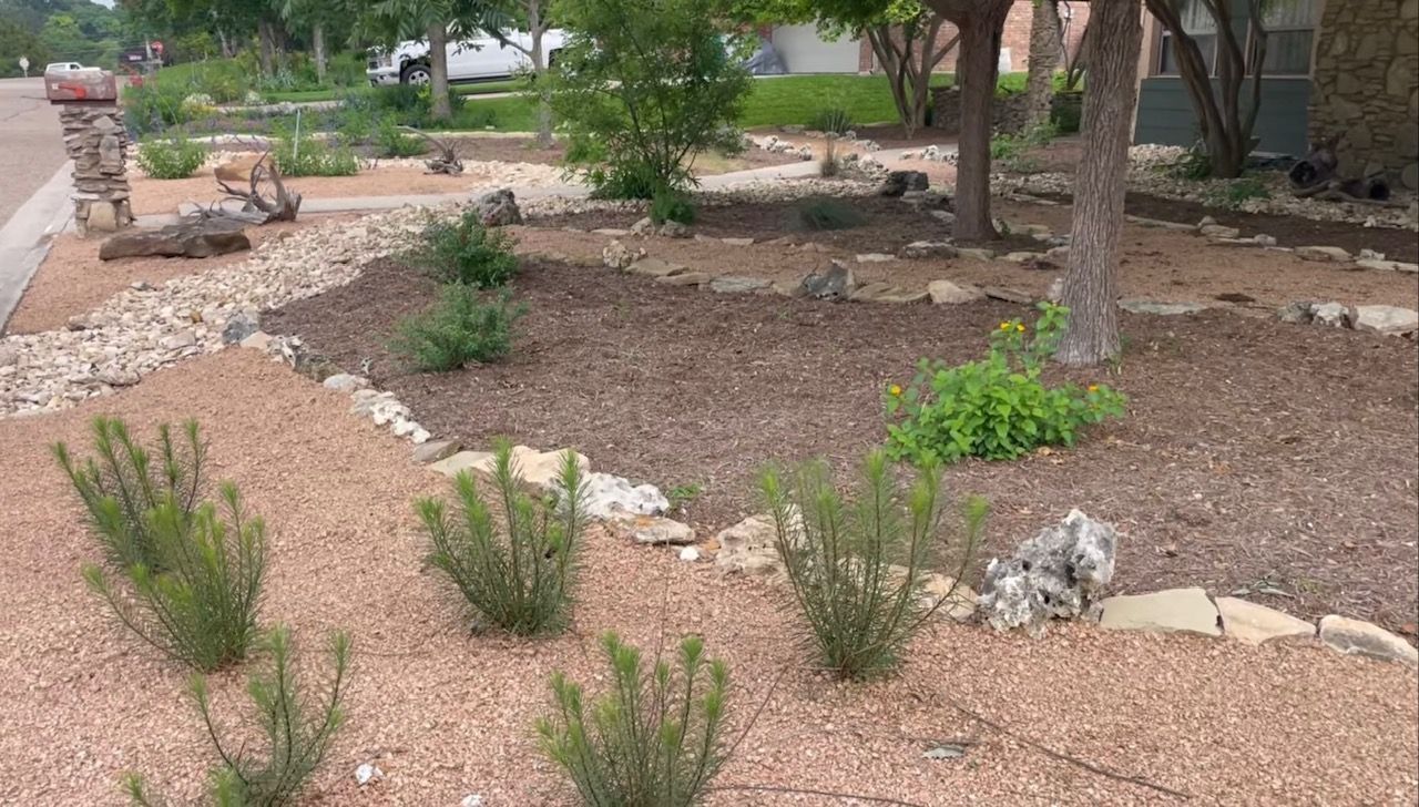 Xeriscape front yard with native materials