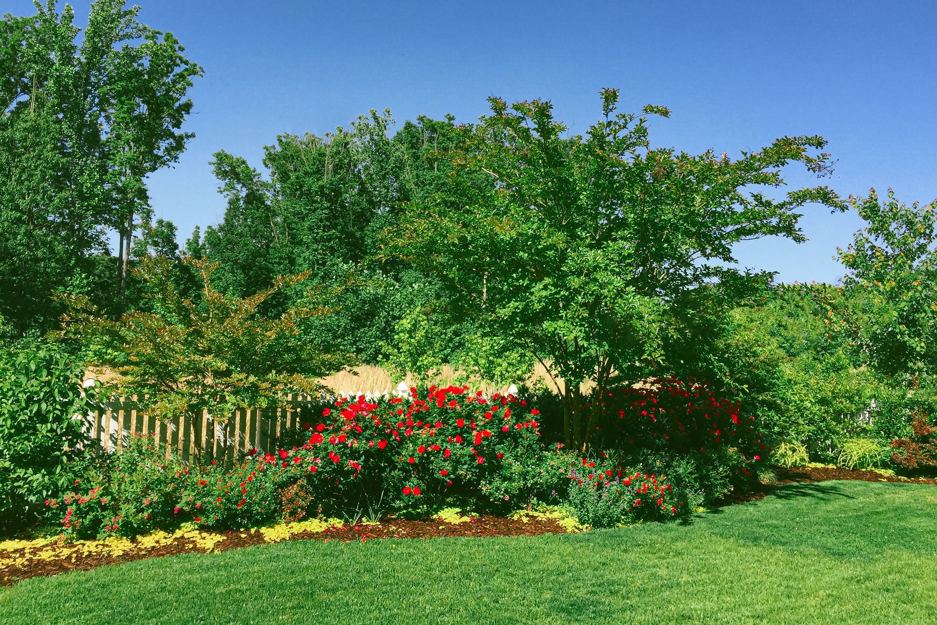 Colorful flower garden in front of rustic wooden house with trellis.