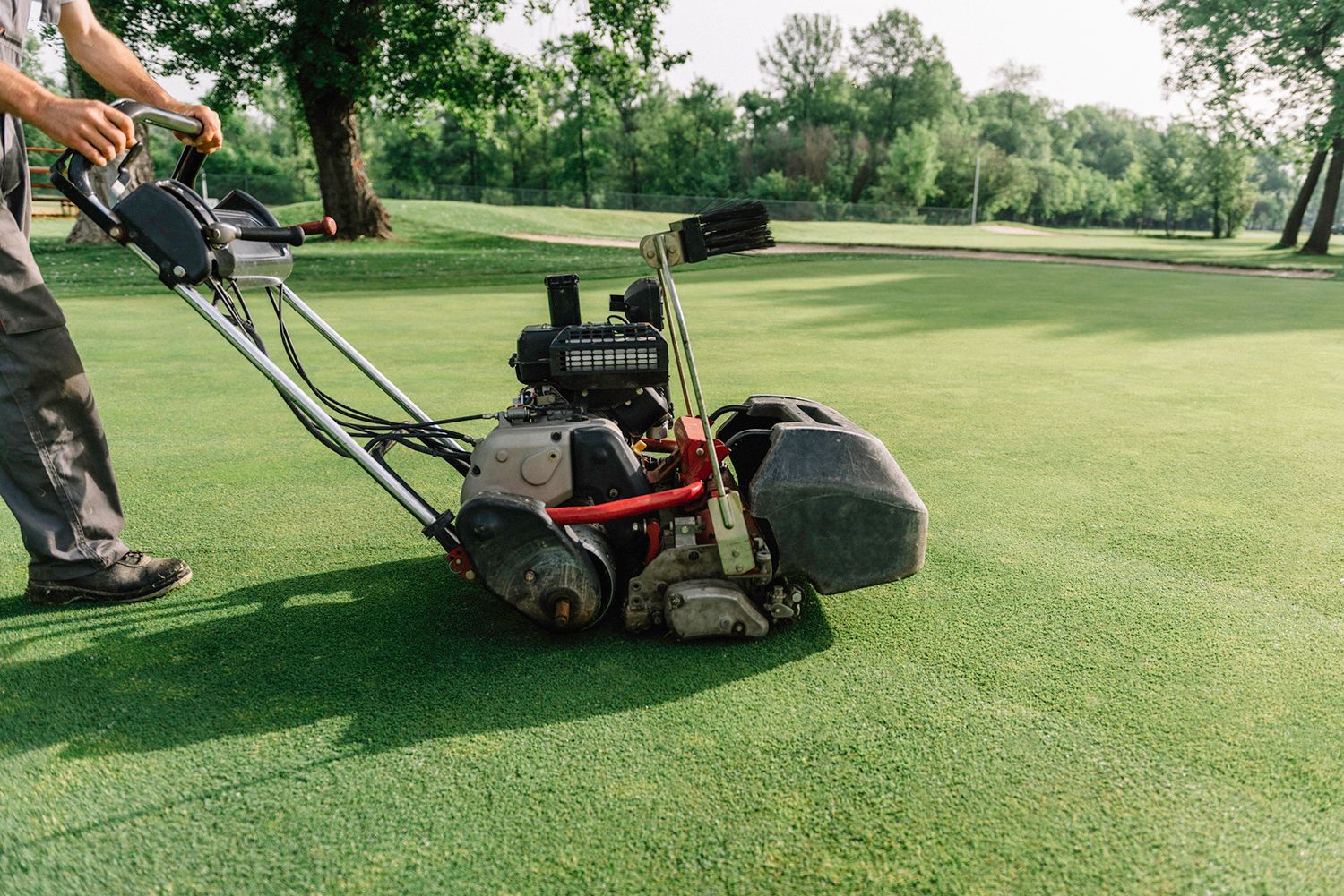 Person mowing golf course green with professional reel mower on sunny day.