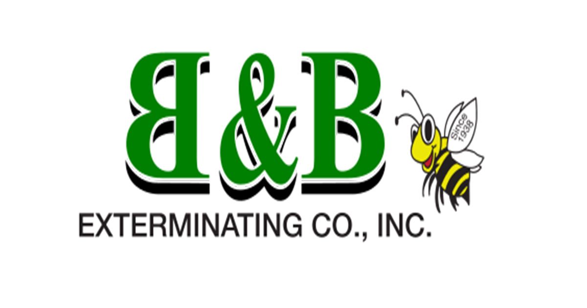 Termite Treatments & Bonds | Jacksonville, FL | B&B Exterminating