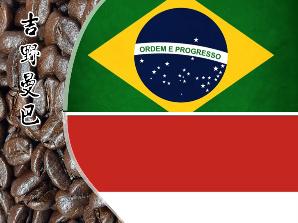 吉野調和「吉野曼巴」