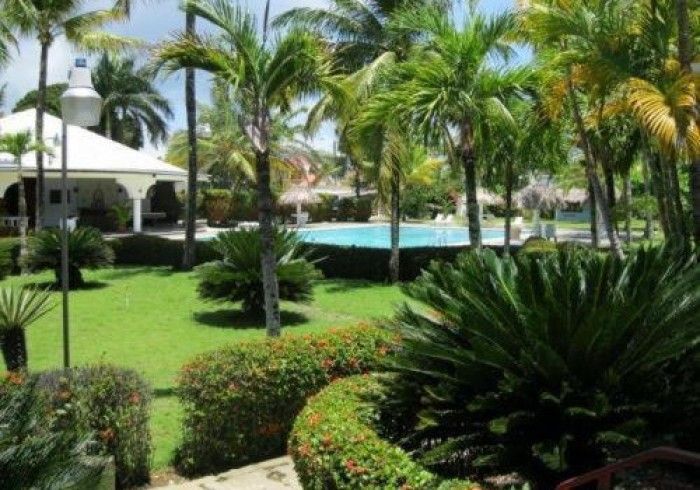 A large swimming pool surrounded by palm trees and bushes