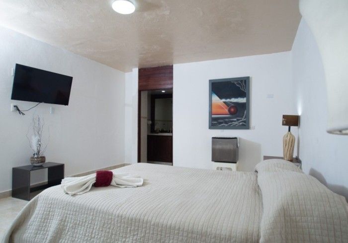 A bedroom with a large bed and a flat screen tv