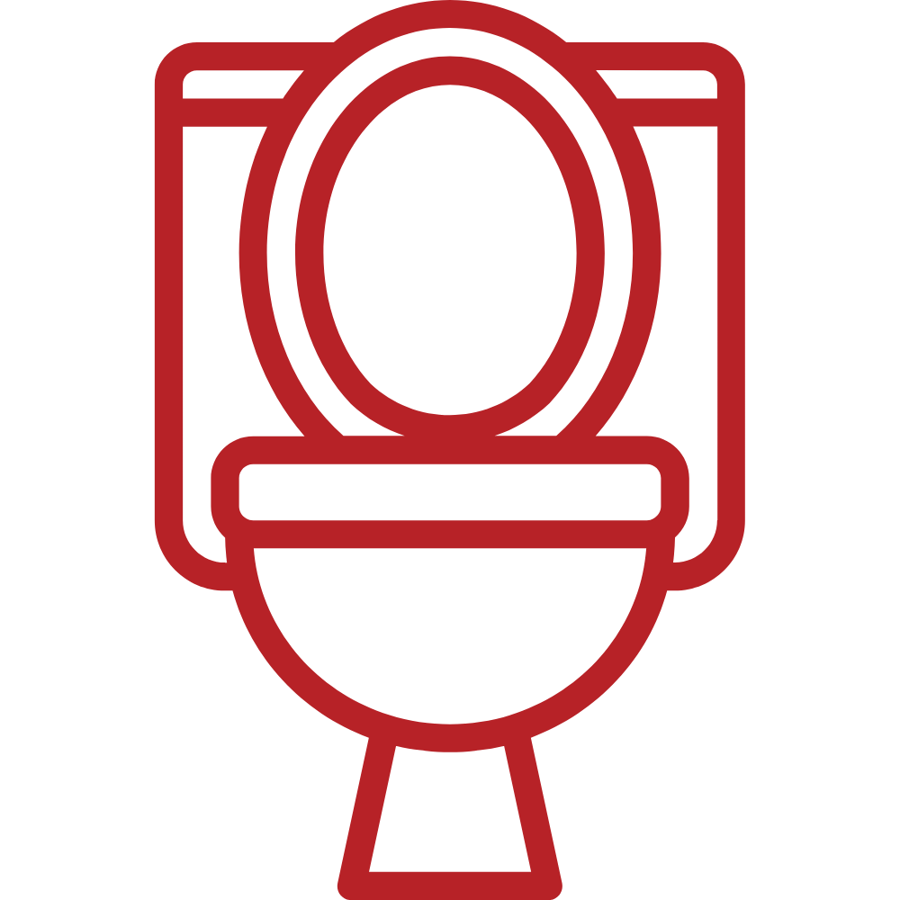Toilet Installation & Repair
