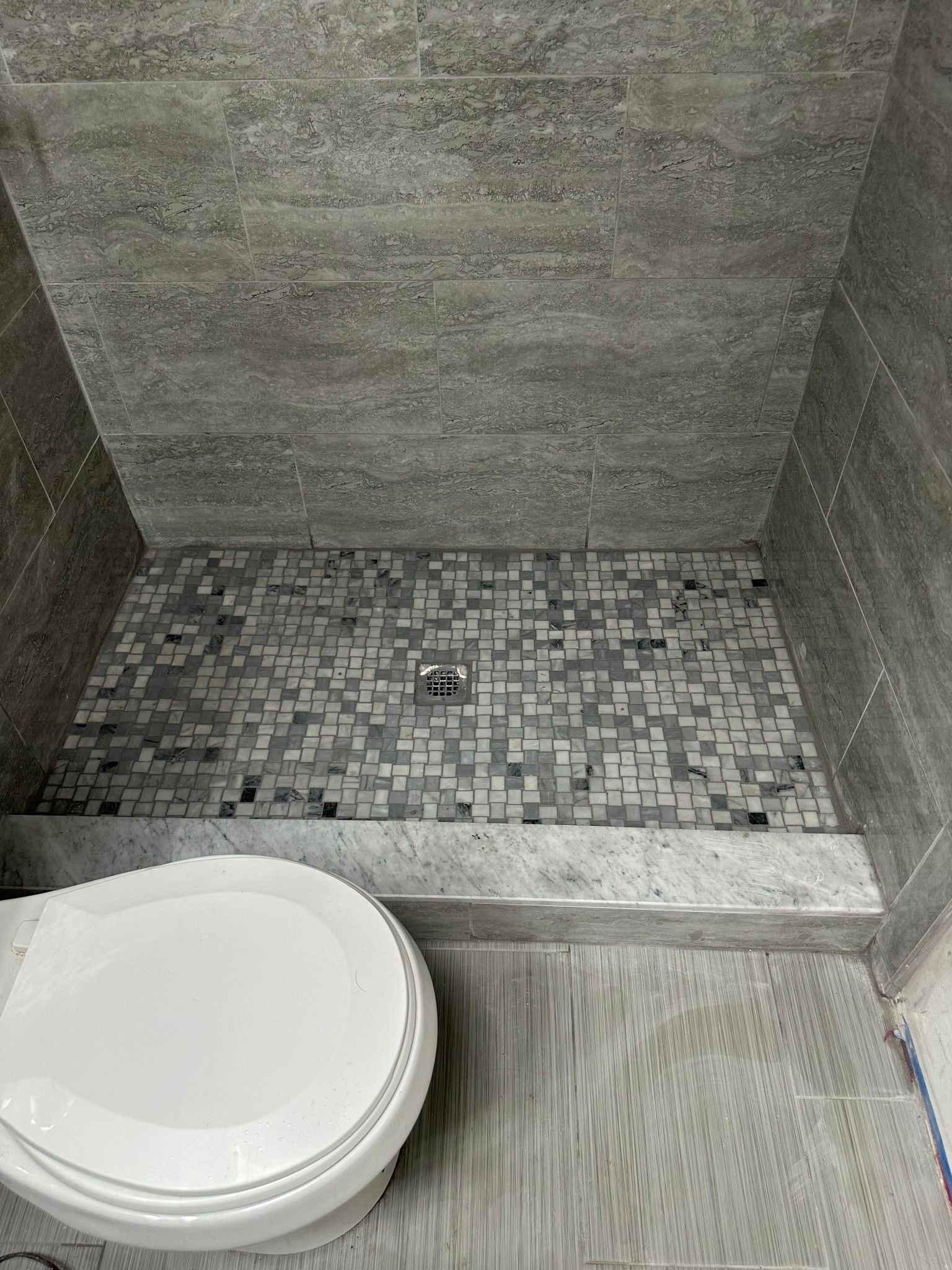 A tiled shower stall with a mosaic floor, next to a white toilet in a bathroom.