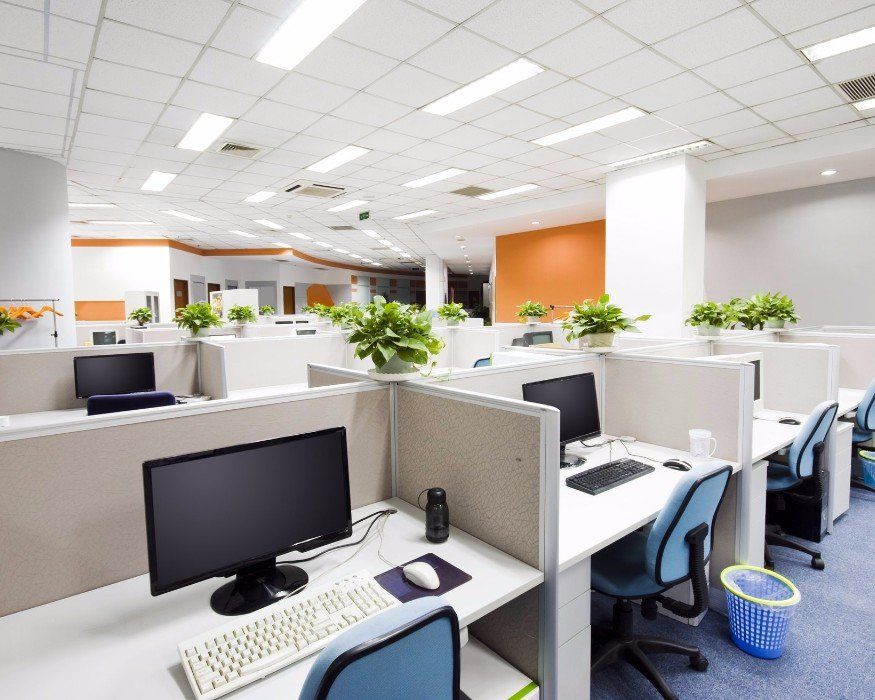 a row of cubicles with computer monitors and keyboards in an office .
