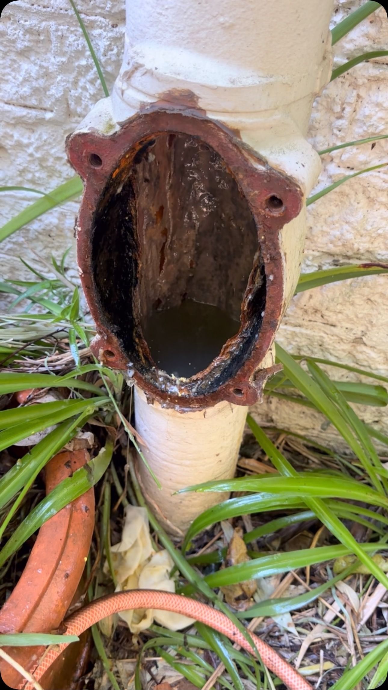 A close-up of a damaged, rusted, and open outdoor cast-iron pipe segment against a white wall with surrounding greenery.