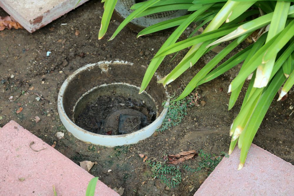 An open, circular white plastic drain or cleanout pipe installed in the ground next to a plant and stone pavers.