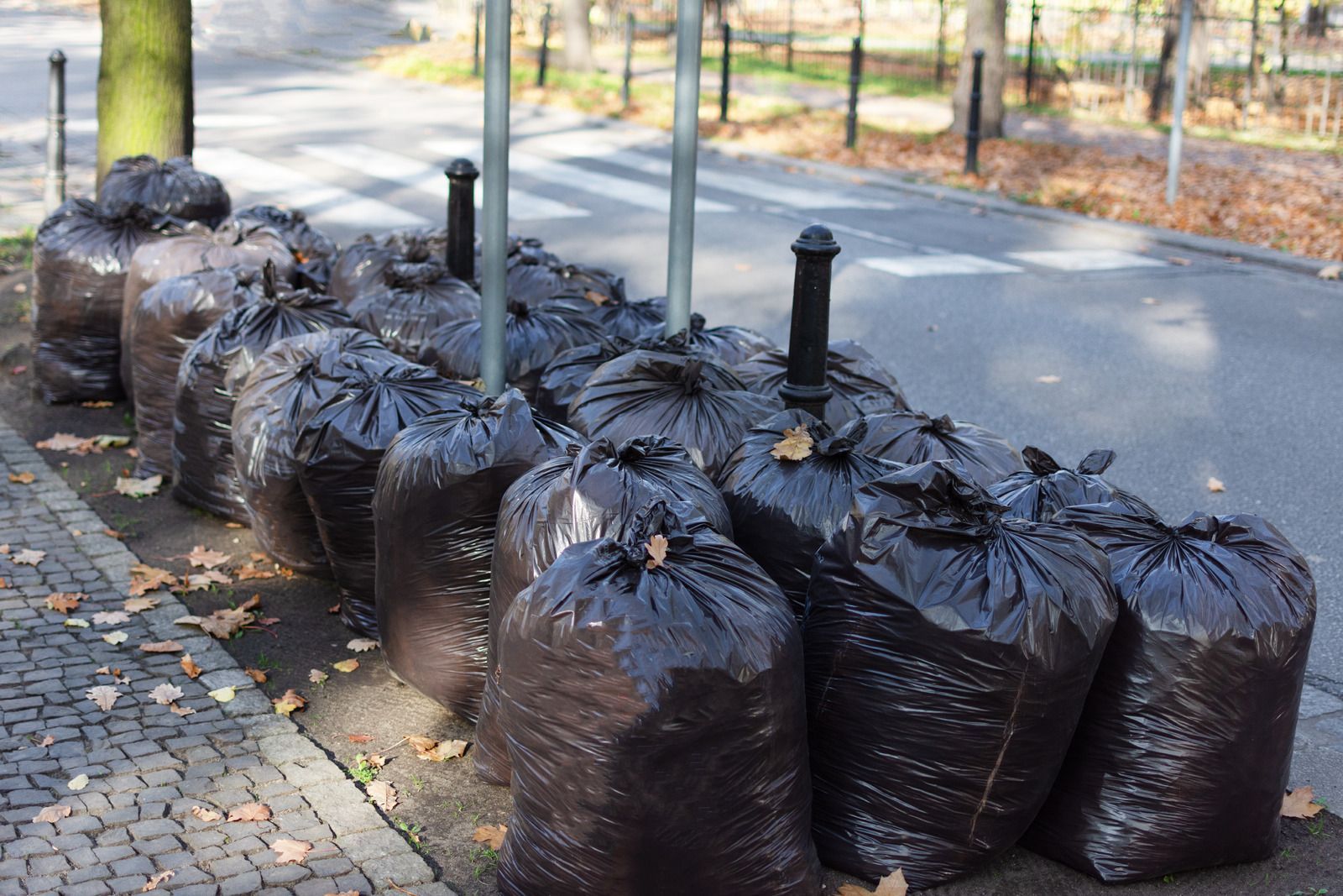 Black trash bags lined up on a sidewalk, near a street and crosswalk.