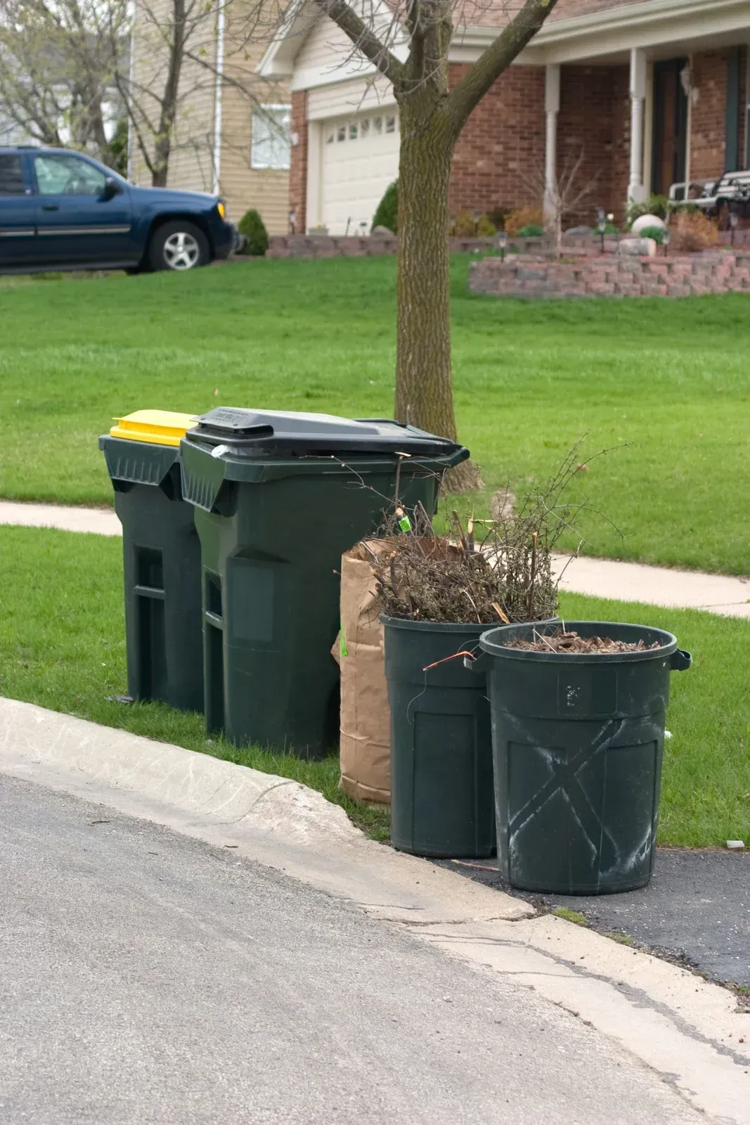 Green trash cans and bags of yard waste sit on a curb next to a road and grass lawn.