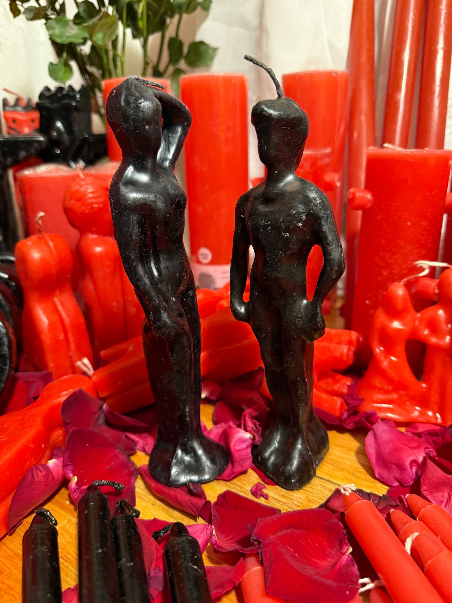 Tres paquetes sellados de alga nori. Etiqueta azul con escritura china y árboles verdes.