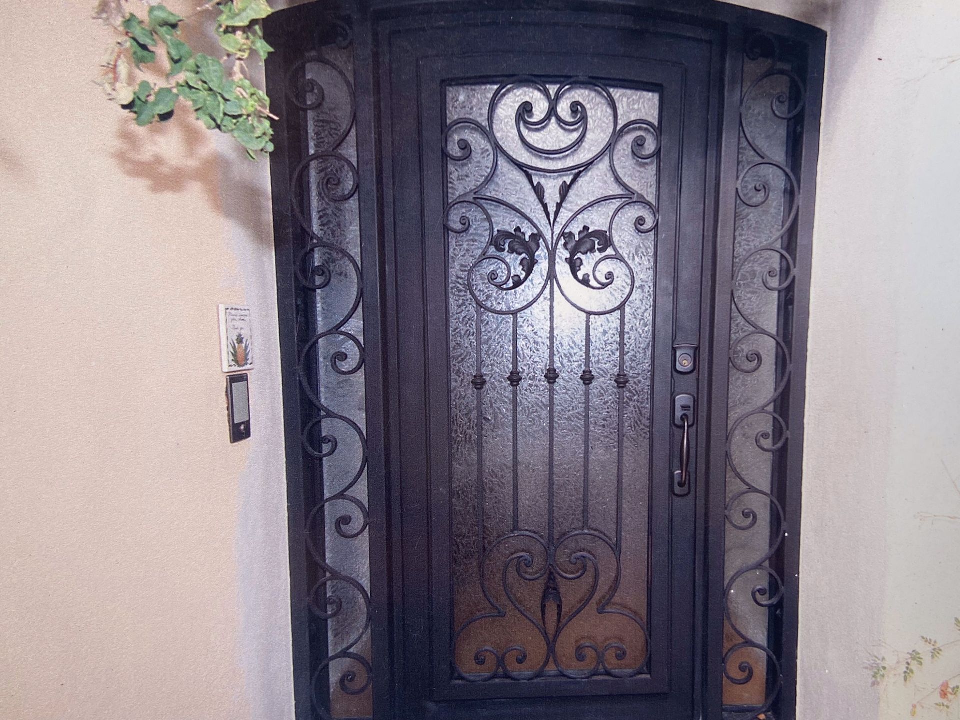 Ornate black wrought iron front door with sidelights, frosted glass panels.