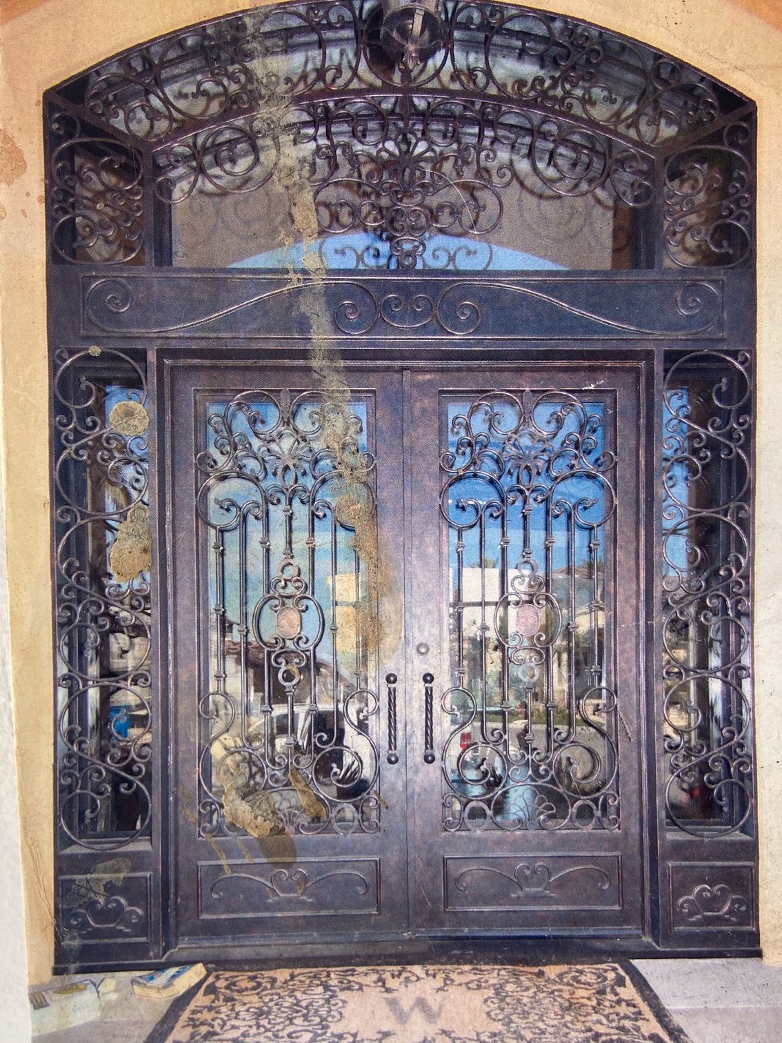Ornate wrought iron double doors with glass panels and sidelights, arched doorway.
