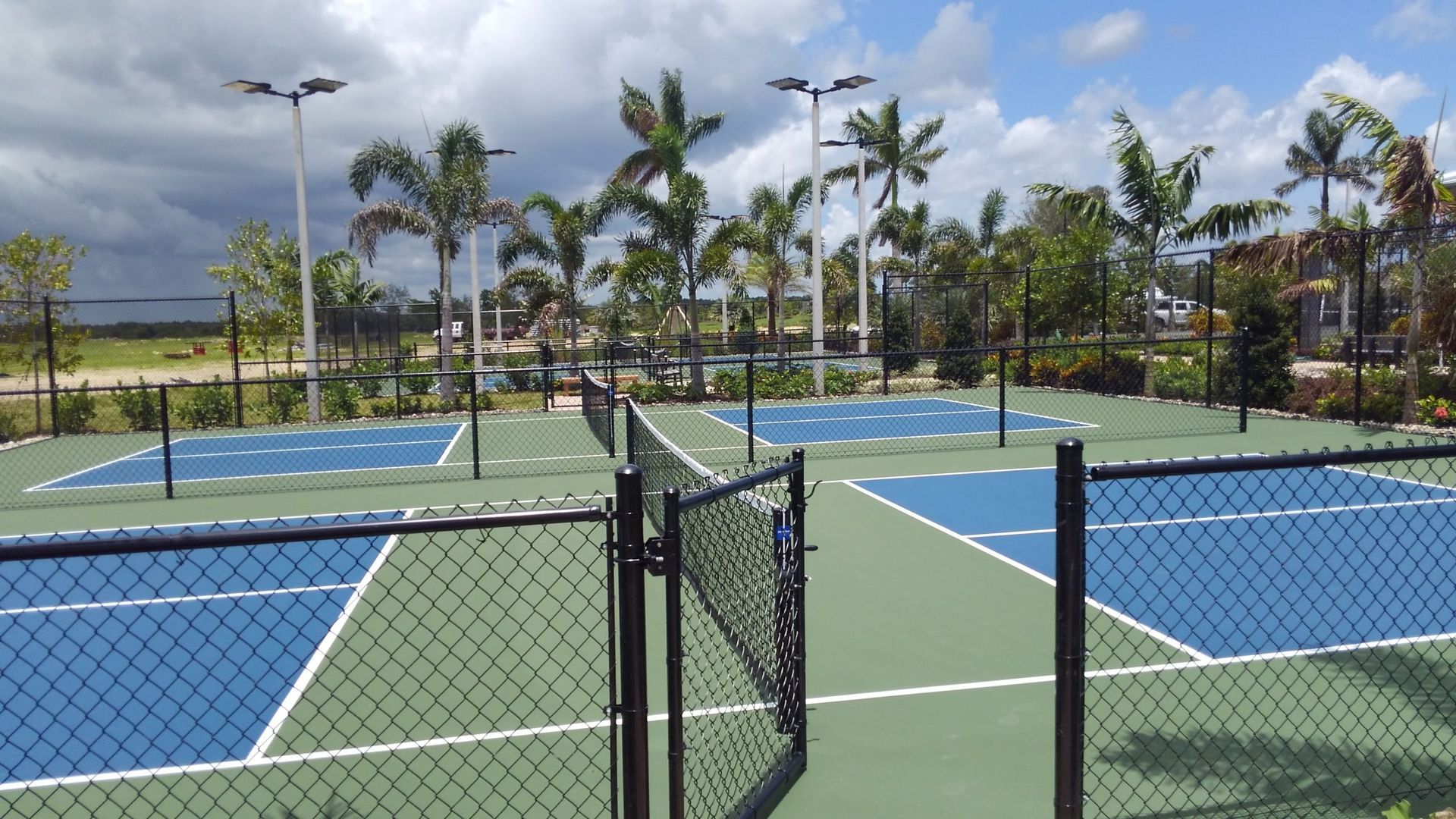 a tennis court with palm trees in the background