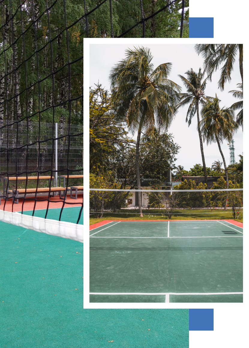 A picture of a tennis court with palm trees in the background