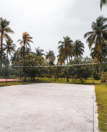 A tennis court with white lines and a net