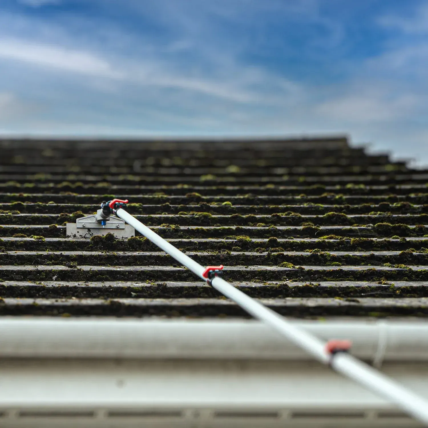 domestic-roof-cleaning -bradford