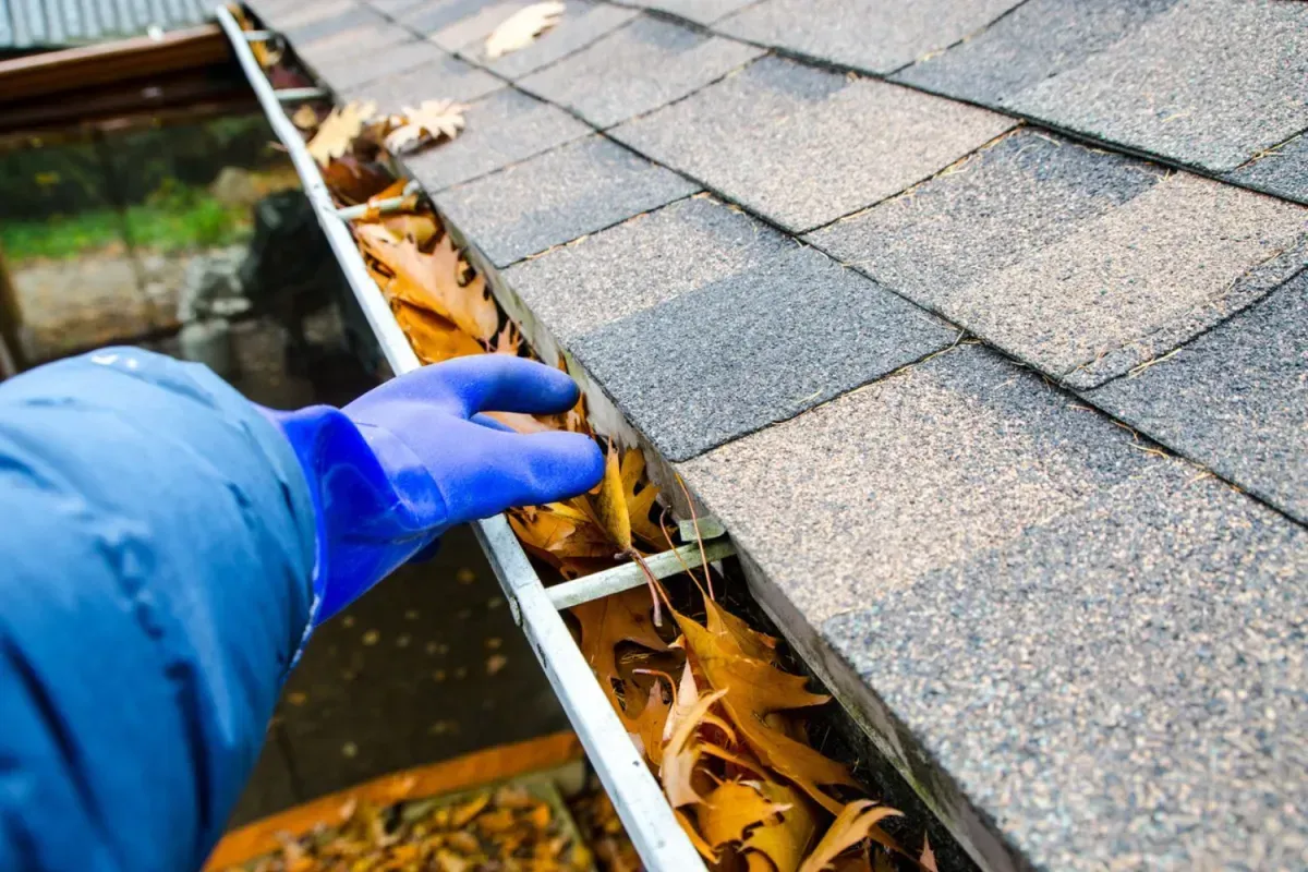 how-do-i-clean-gutters