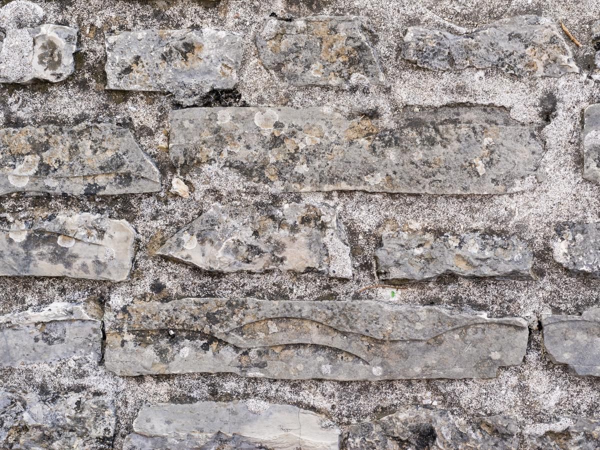 stone wall before cleaning