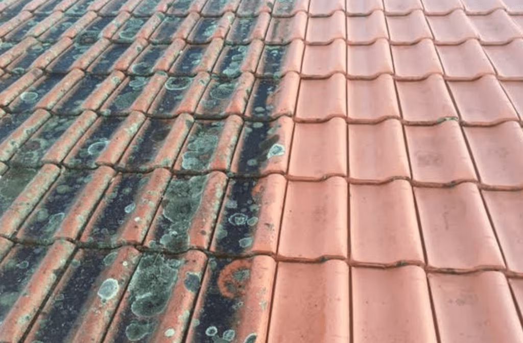 roof-cleaning-before-and-after-bradford