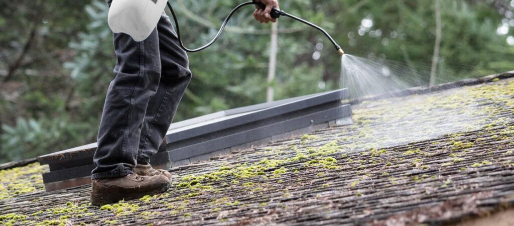 roof-cleaning-chemicals