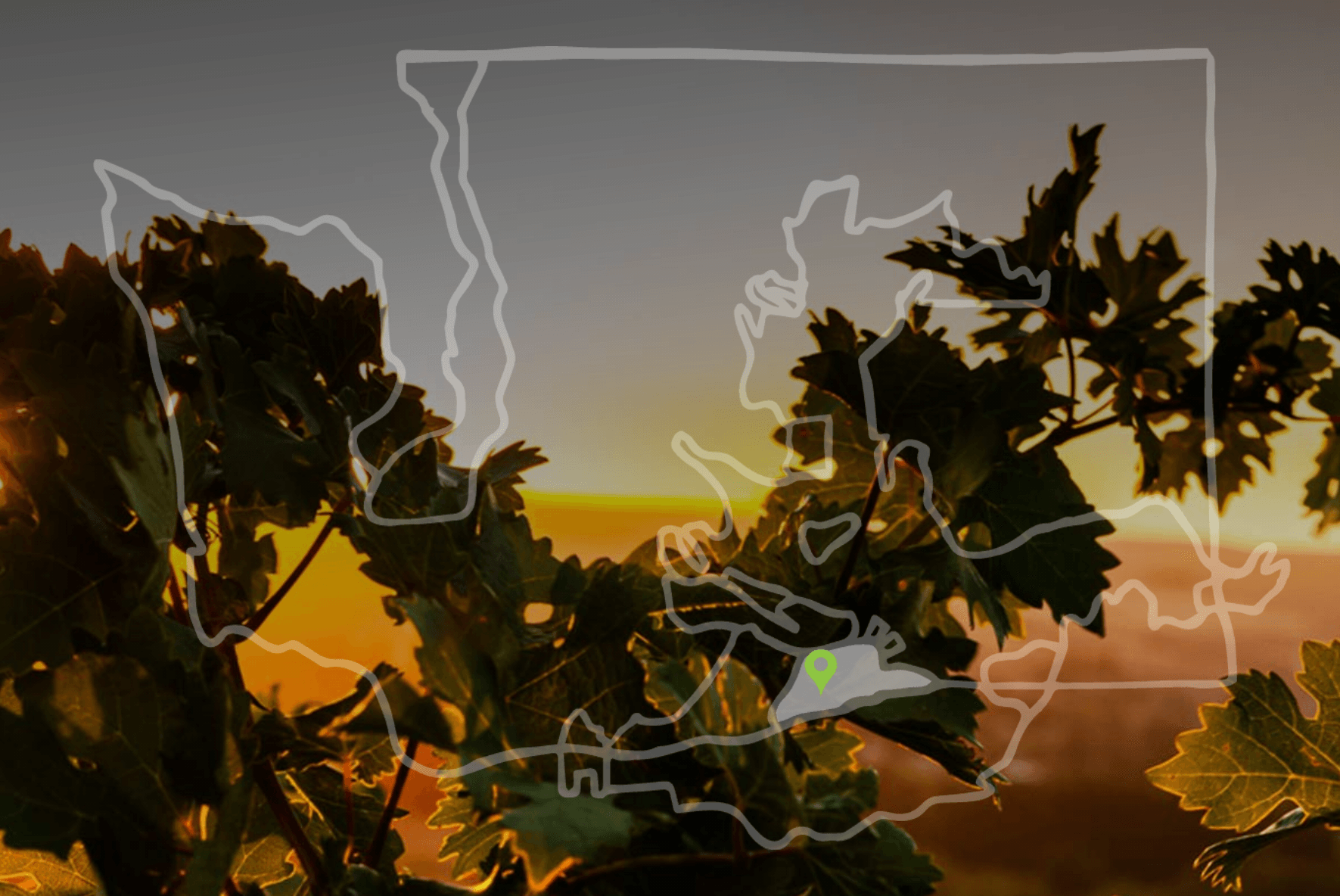 A map of the state of washington with trees in the foreground