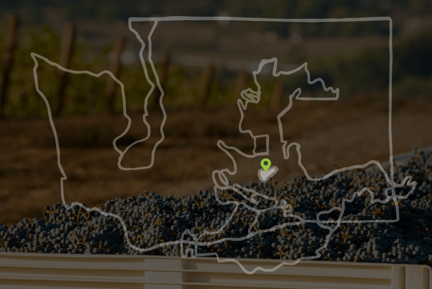 A map of the united states with a container of grapes in the foreground.