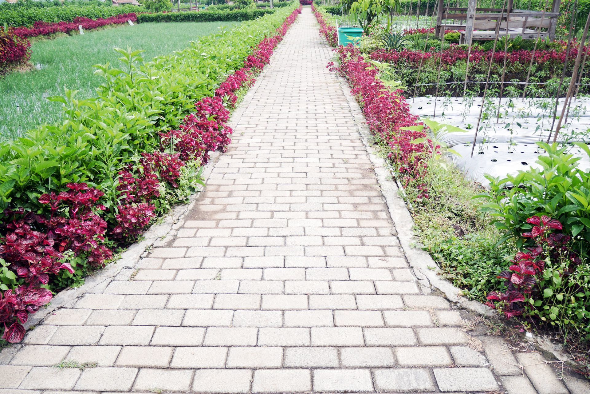 a stamped concrete road