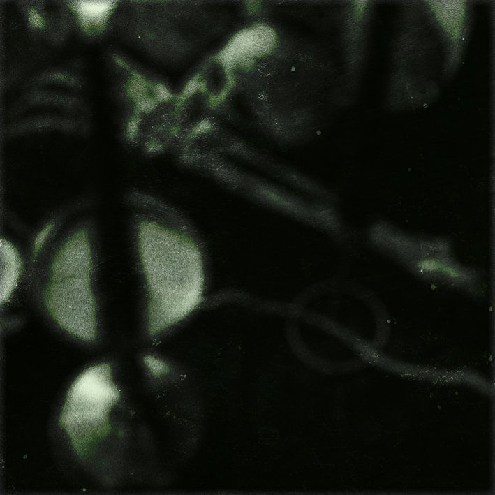 Blurry dark green foliage with a pale oval object in the foreground