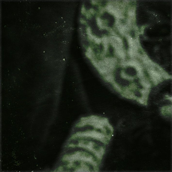 Green-and-black abstract close-up of a patterned object against a dark background