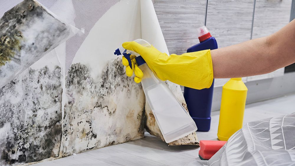 A Person Is Cleaning A Wall With A Spray Bottle — Alta Cleaning Service In Coconut Grove, NT