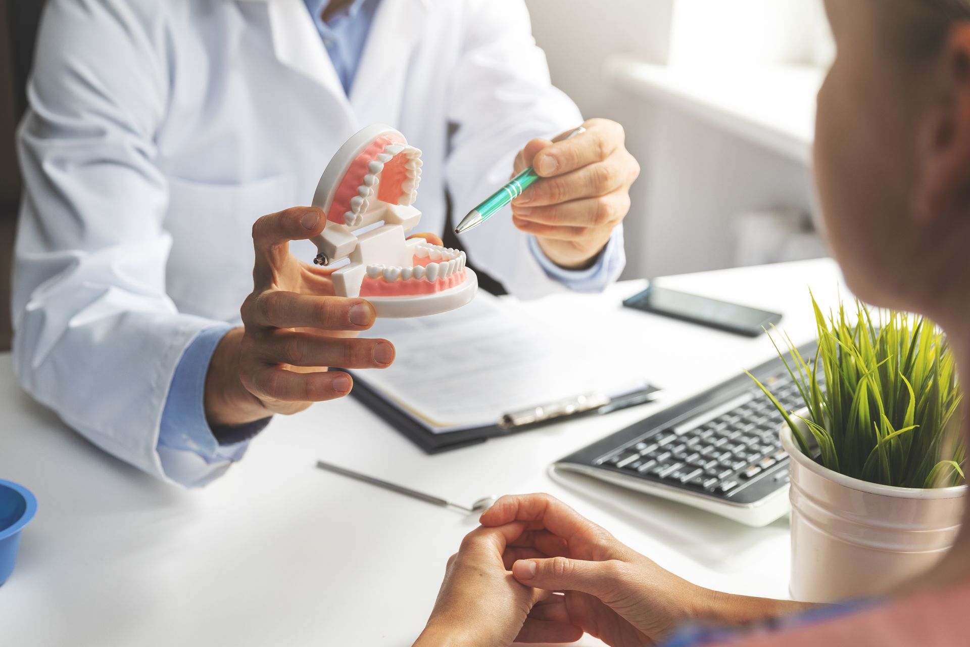 Dentist showing dental model to patient, pointing with pen. White coat, office setting.