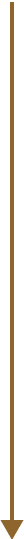 A brown cylinder with a shadow on a white background.