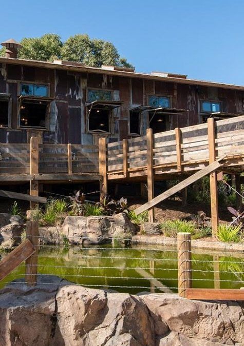 A wooden bridge over a pond in front of a building.