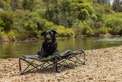 A black dog is laying on a bed next to a river.