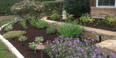 Landscaped garden in front of house with flowers