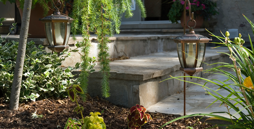 Landscaped steps with custom lighting