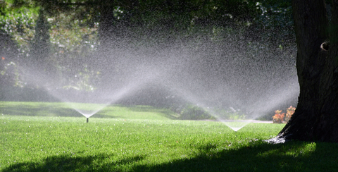 Sprinkler system water grass